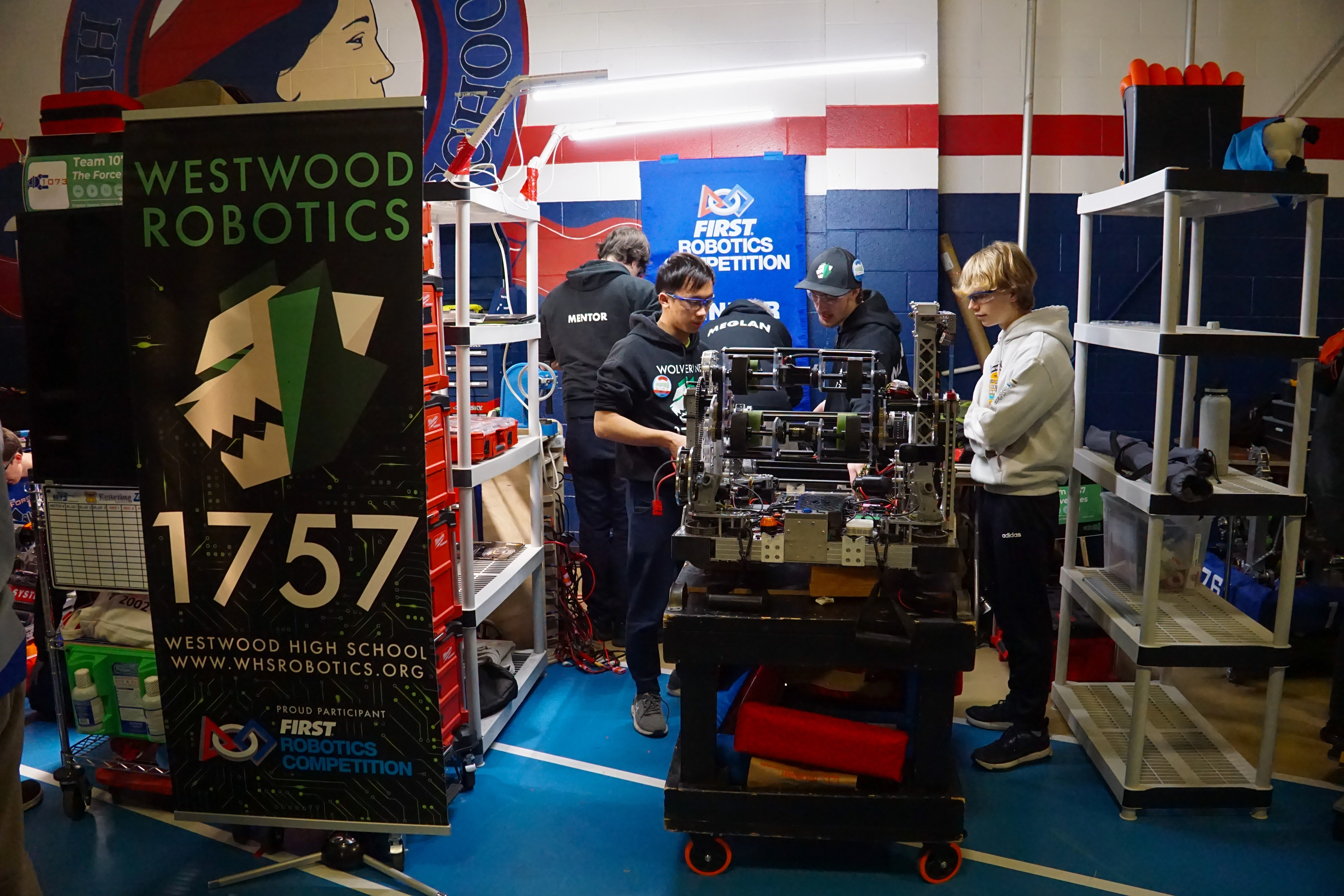 Proteus gallery photo