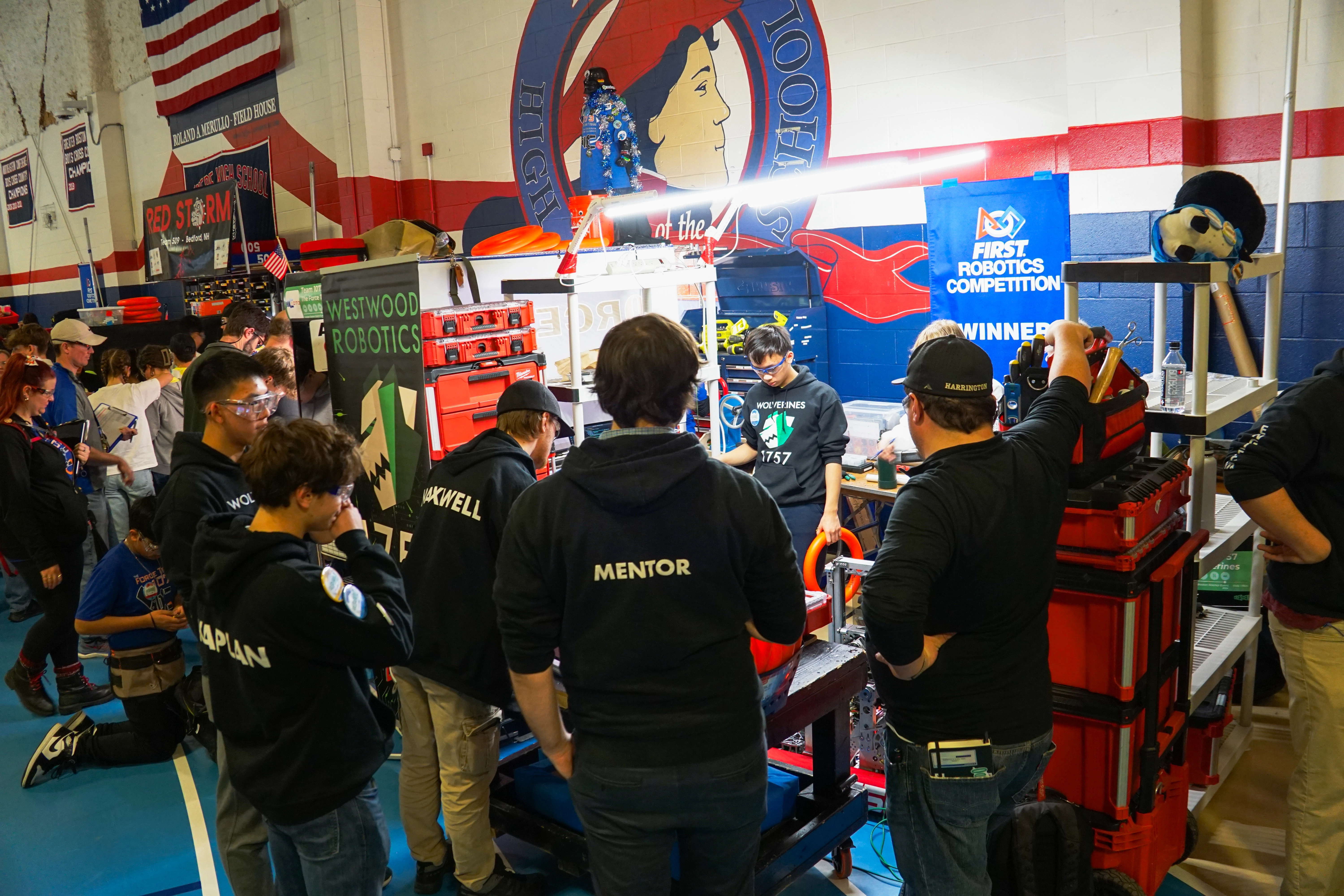 Proteus gallery photo